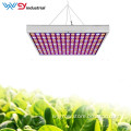 /msite/products/detail/productid/58222493/id/679434.html
